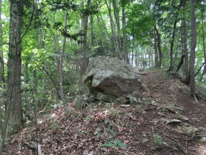 鷹取山登山道の巨石
