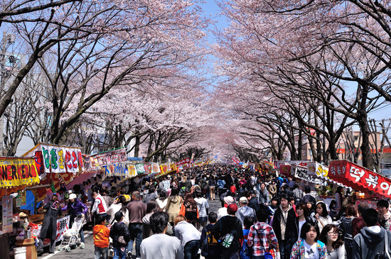 「2015年今年の相模原「桜まつり」は5月に「若葉祭り」として開催」のアイキャッチ画像