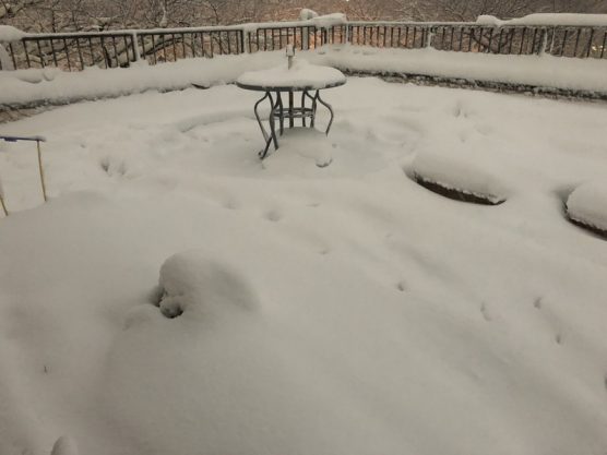 相模原大雪(2018年1月)