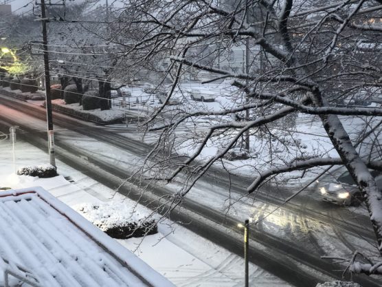 相模原の積雪情報