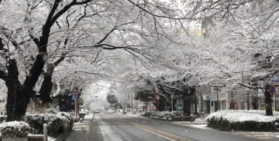 相模原の雪情報2018年3月21日