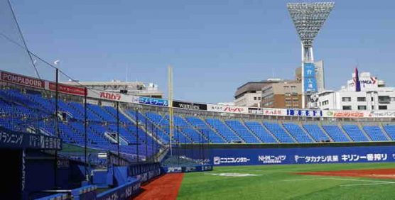 夏の高校野球「神奈川決勝」