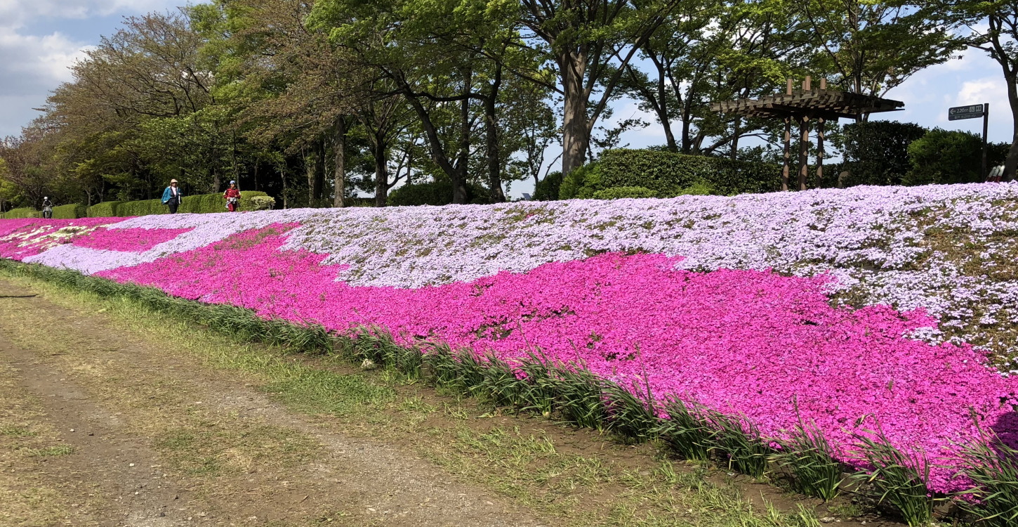 相模原情報 相模原情報発信基地